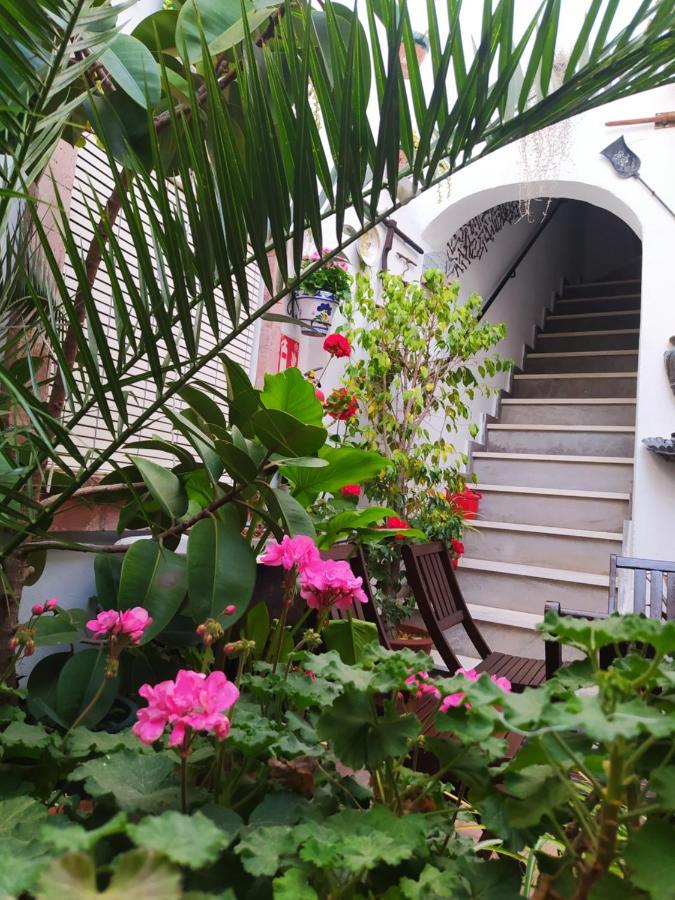 Casa Museo Jerez Centro Apartment Jerez de la Frontera Ngoại thất bức ảnh