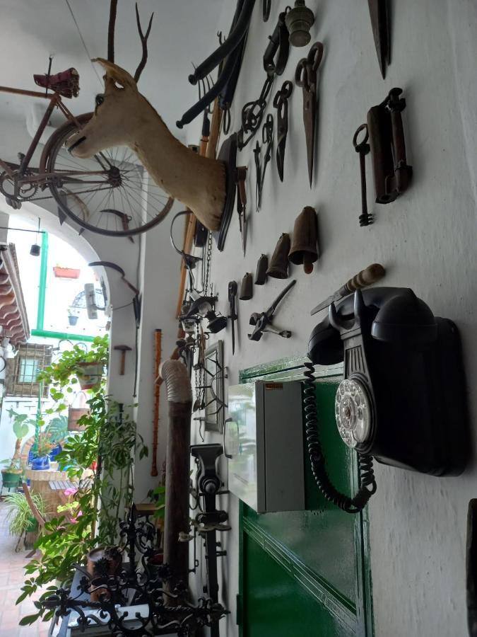 Casa Museo Jerez Centro Apartment Jerez de la Frontera Ngoại thất bức ảnh