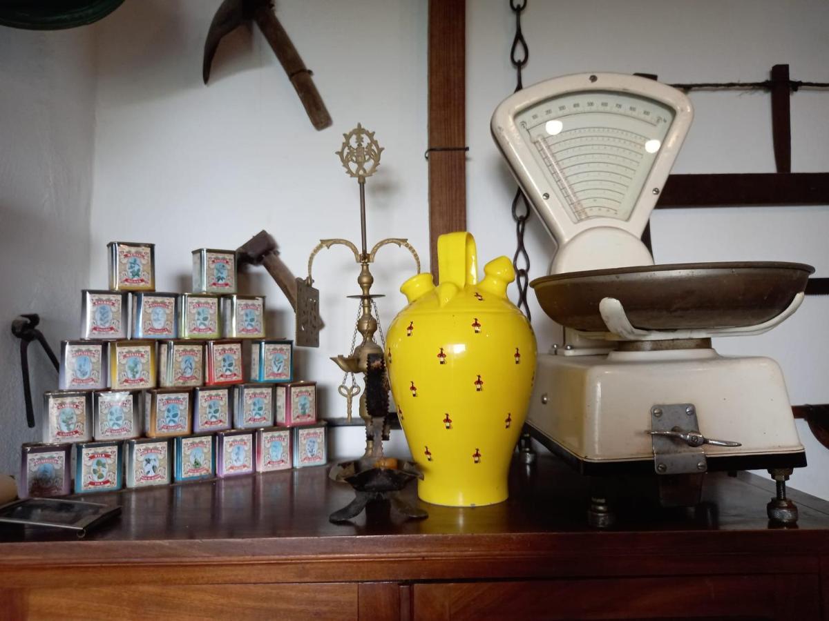 Casa Museo Jerez Centro Apartment Jerez de la Frontera Ngoại thất bức ảnh