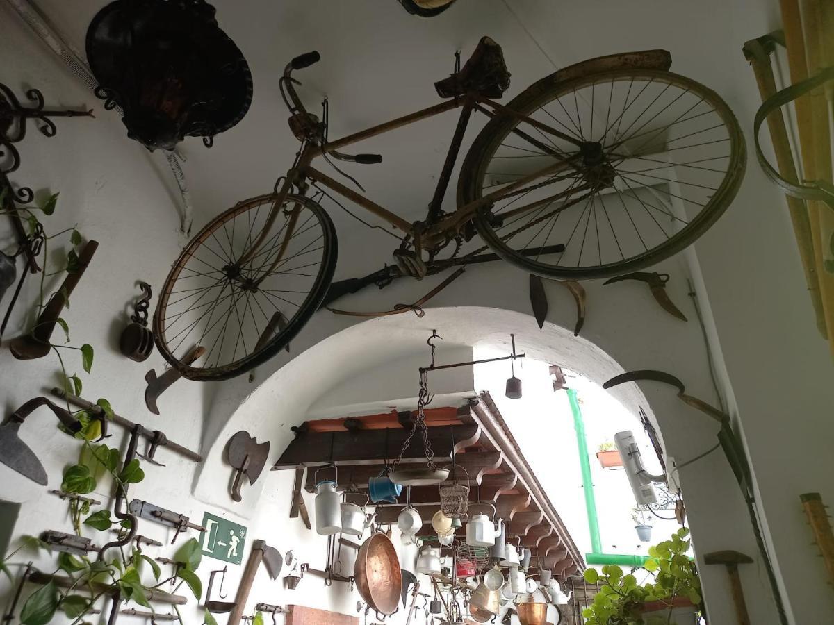 Casa Museo Jerez Centro Apartment Jerez de la Frontera Ngoại thất bức ảnh