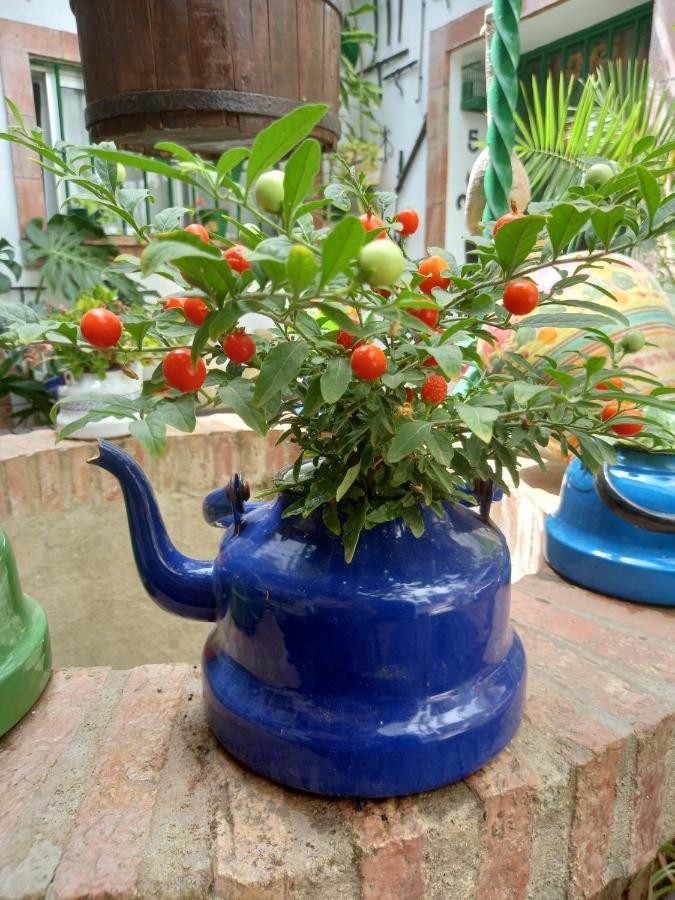 Casa Museo Jerez Centro Apartment Jerez de la Frontera Ngoại thất bức ảnh