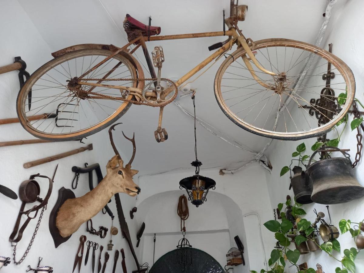 Casa Museo Jerez Centro Apartment Jerez de la Frontera Ngoại thất bức ảnh