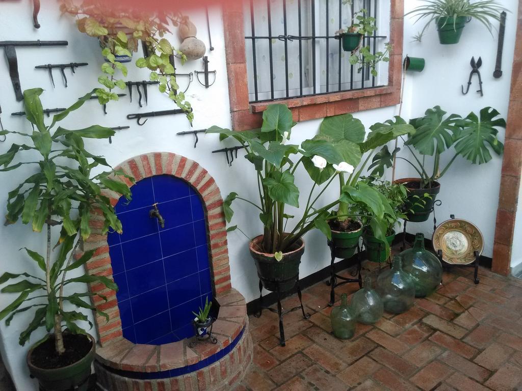 Casa Museo Jerez Centro Apartment Jerez de la Frontera Ngoại thất bức ảnh