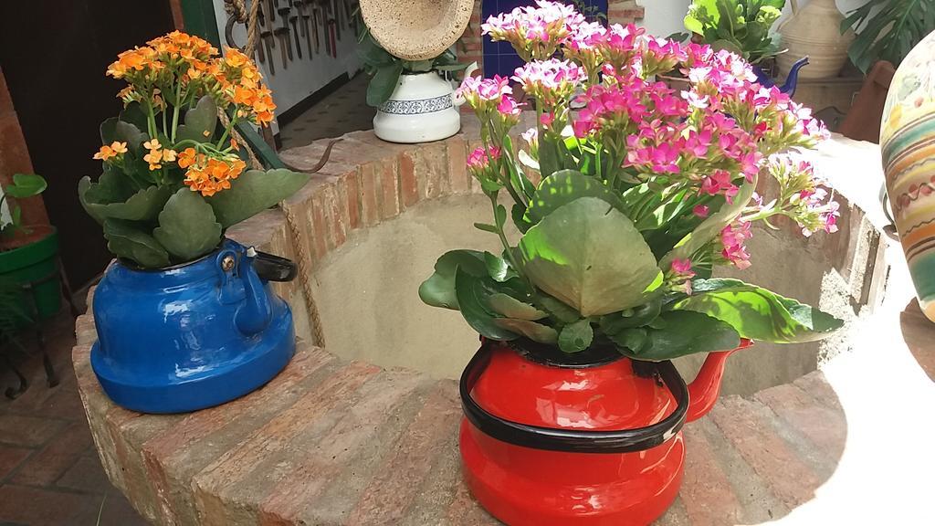 Casa Museo Jerez Centro Apartment Jerez de la Frontera Ngoại thất bức ảnh